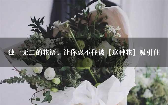 独一无二的花语，让你忍不住被【这种花】吸引住