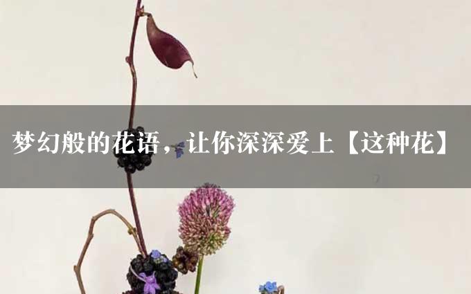 梦幻般的花语，让你深深爱上【这种花】