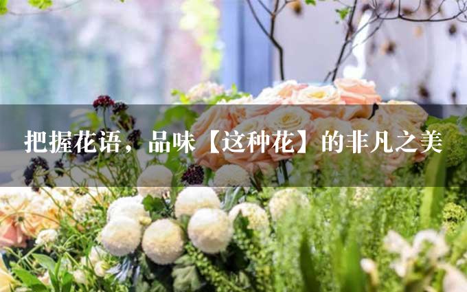 把握花语，品味【这种花】的非凡之美