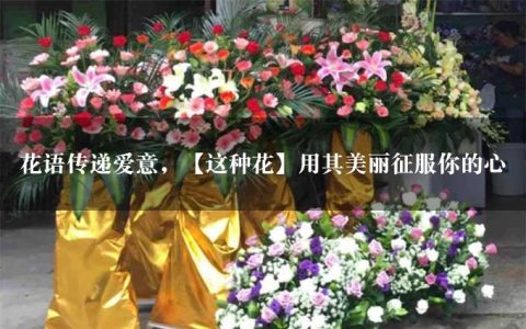 花语传递爱意，【这种花】用其美丽征服你的心