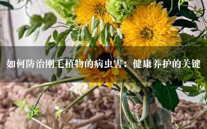 如何防治刚毛植物的病虫害：健康养护的关键