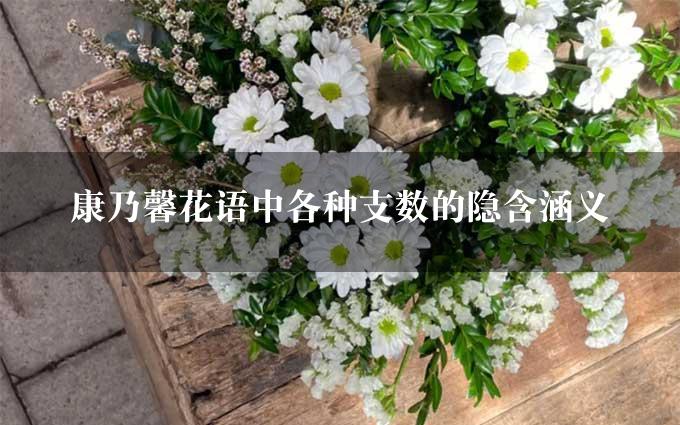 康乃馨花语中各种支数的隐含涵义