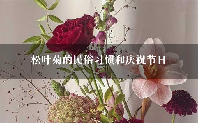 松叶菊的民俗习惯和庆祝节日