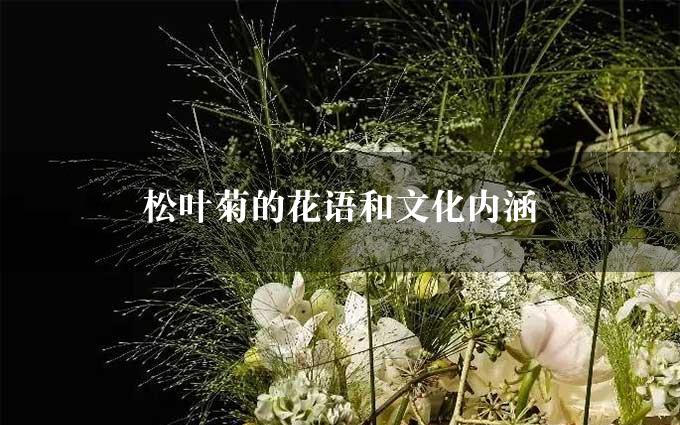 松叶菊的花语和文化内涵