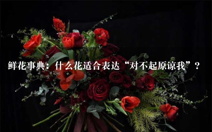 鲜花事典：什么花适合表达“对不起原谅我”？