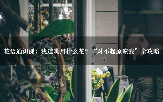 花语通识课：我道歉用什么花？“对不起原谅我”全攻略