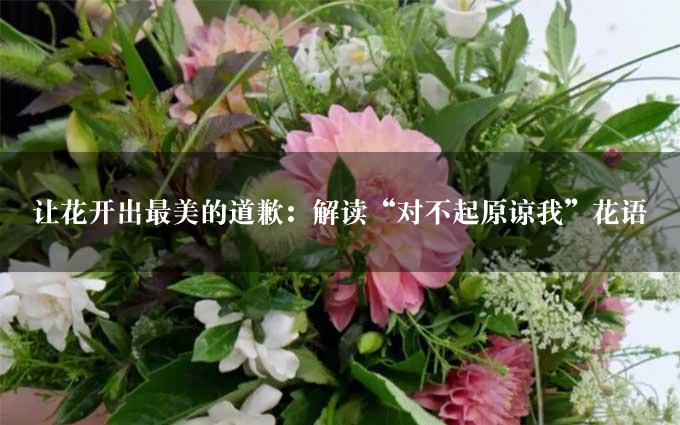 让花开出最美的道歉：解读“对不起原谅我”花语