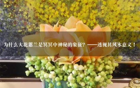 为什么大花蕙兰是冥冥中神秘的象征？——透视其风水意义！