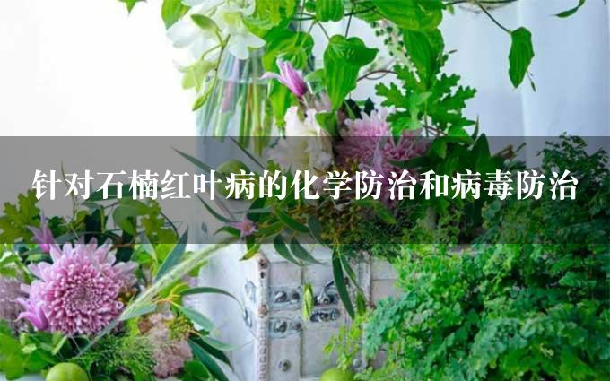 针对石楠红叶病的化学防治和病毒防治