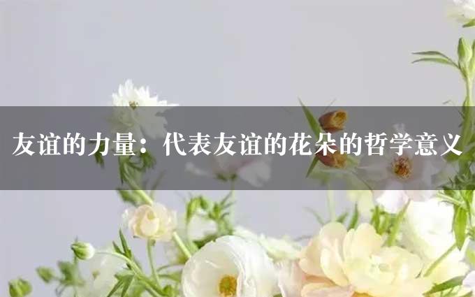 友谊的力量：代表友谊的花朵的哲学意义