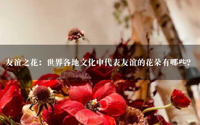 友谊之花：世界各地文化中代表友谊的花朵有哪些？