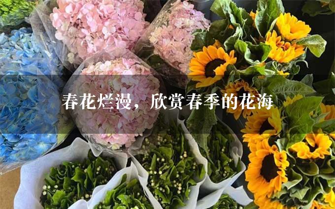 春花烂漫，欣赏春季的花海