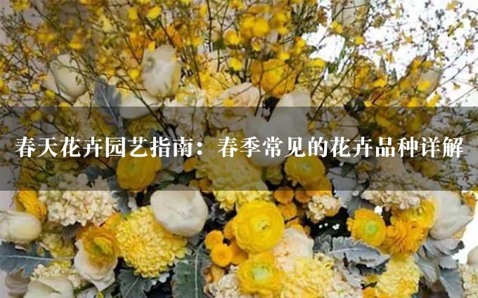 春天花卉园艺指南：春季常见的花卉品种详解