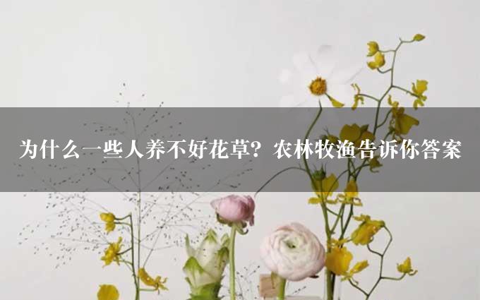 为什么一些人养不好花草？农林牧渔告诉你答案