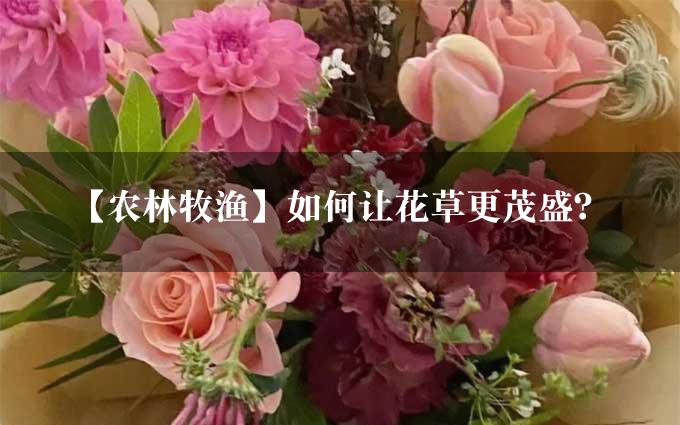 【农林牧渔】如何让花草更茂盛？