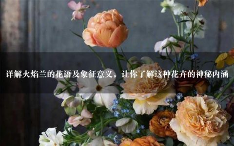 详解火焰兰的花语及象征意义，让你了解这种花卉的神秘内涵