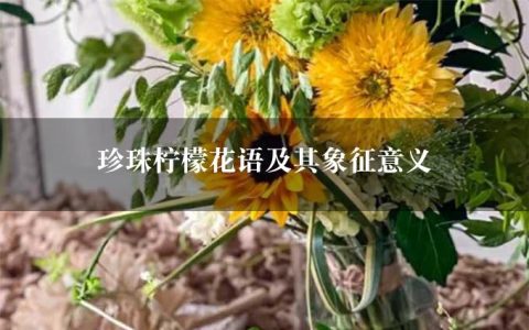 珍珠柠檬花语及其象征意义