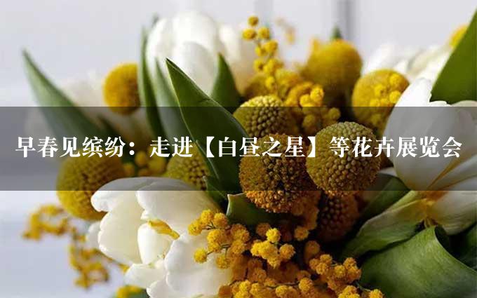 早春见缤纷：走进【白昼之星】等花卉展览会