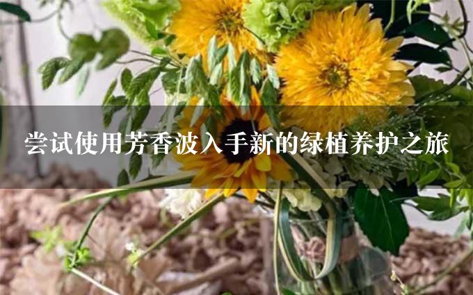 尝试使用芳香波入手新的绿植养护之旅