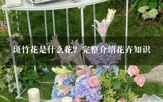 斑竹花是什么花？完整介绍花卉知识