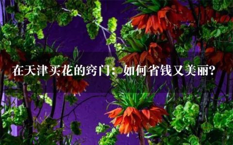 在天津买花的窍门：如何省钱又美丽？