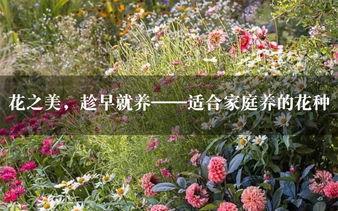 花之美，趁早就养——适合家庭养的花种