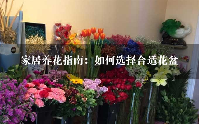 家居养花指南：如何选择合适花盆