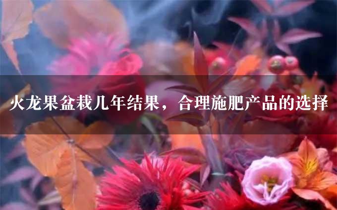 火龙果盆栽几年结果，合理施肥产品的选择