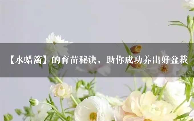 【水蜡篱】的育苗秘诀，助你成功养出好盆栽