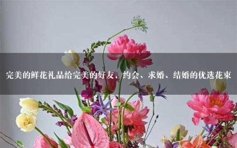 完美的鲜花礼品给完美的好友，约会、求婚、结婚的优选花束