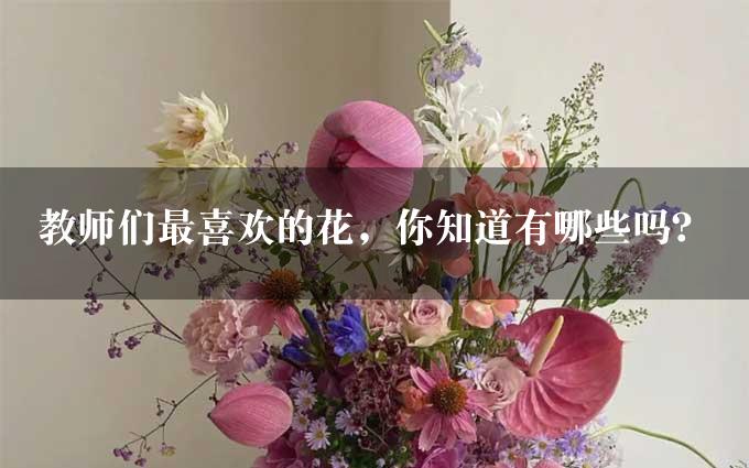 教师们最喜欢的花，你知道有哪些吗？