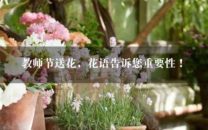 教师节送花，花语告诉您重要性！