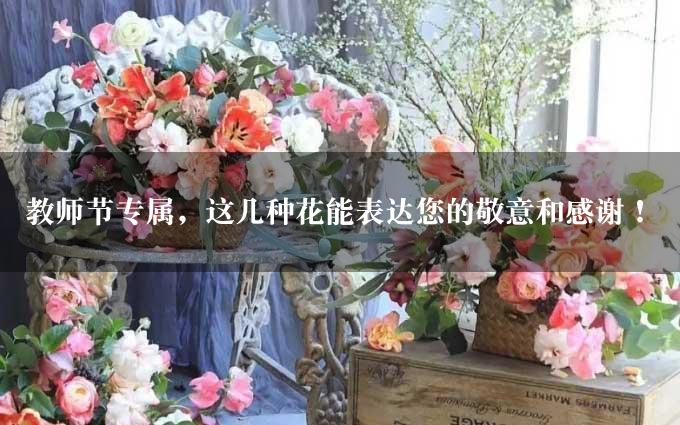 教师节专属，这几种花能表达您的敬意和感谢！