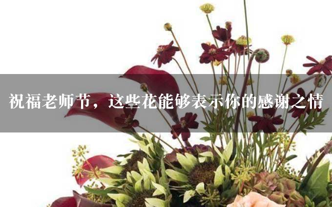 祝福老师节，这些花能够表示你的感谢之情