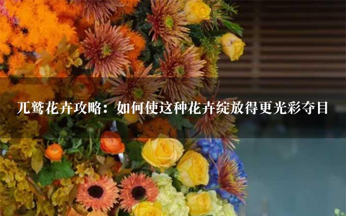 兀鹫花卉攻略：如何使这种花卉绽放得更光彩夺目