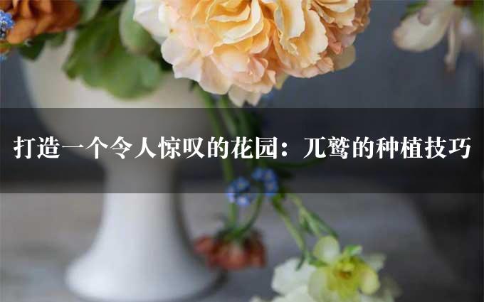 打造一个令人惊叹的花园：兀鹫的种植技巧