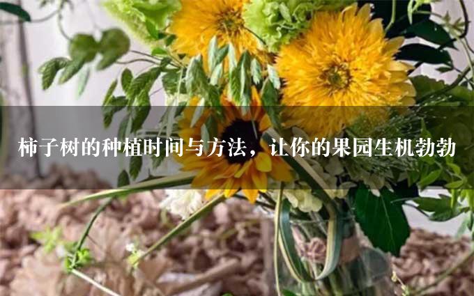 柿子树的种植时间与方法，让你的果园生机勃勃