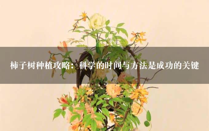 柿子树种植攻略：科学的时间与方法是成功的关键