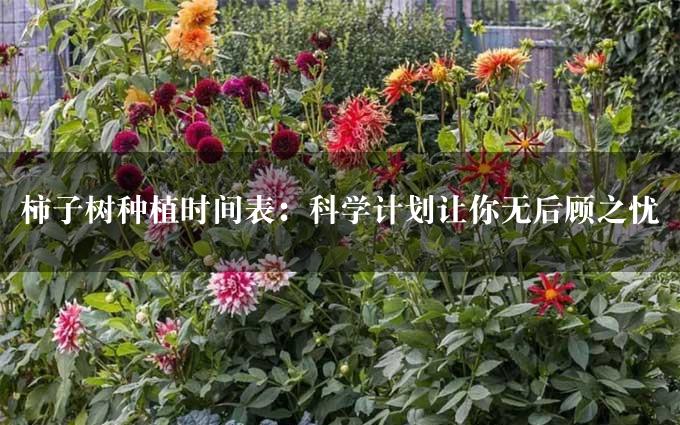 柿子树种植时间表：科学计划让你无后顾之忧