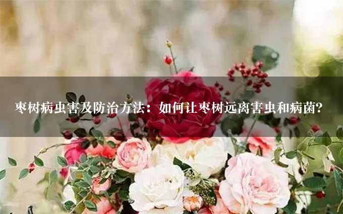 枣树病虫害及防治方法：如何让枣树远离害虫和病菌？