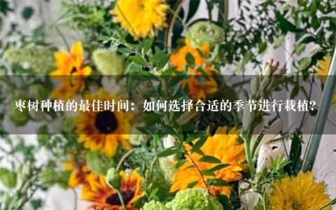 枣树种植的最佳时间：如何选择合适的季节进行栽植？