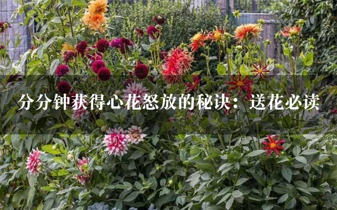 分分钟获得心花怒放的秘诀：送花必读