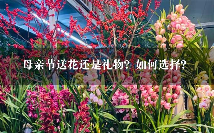 母亲节送花还是礼物？如何选择？