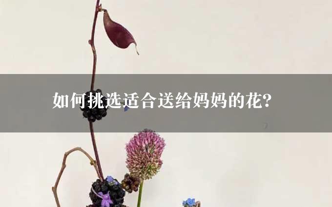 如何挑选适合送给妈妈的花？