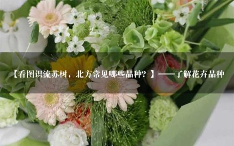 【看图识流苏树，北方常见哪些品种？】——了解花卉品种