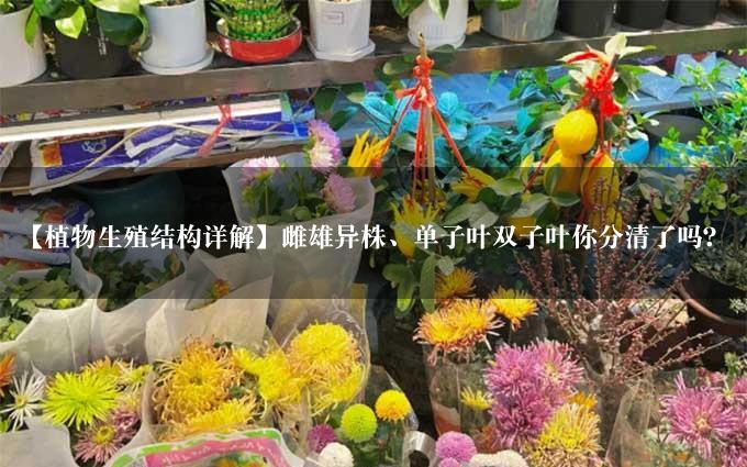 【植物生殖结构详解】雌雄异株、单子叶双子叶你分清了吗？