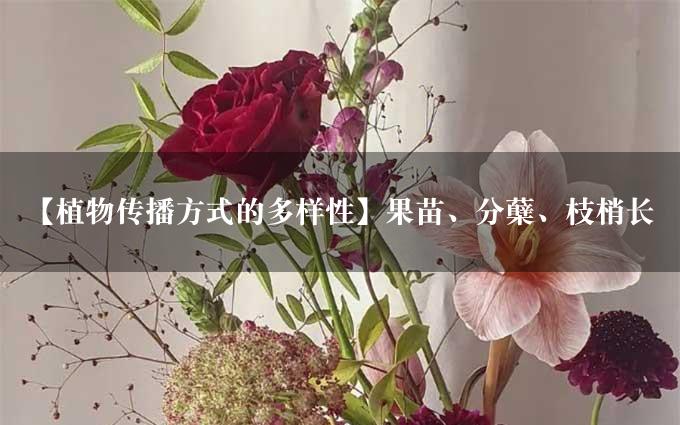 【植物传播方式的多样性】果苗、分蘖、枝梢长