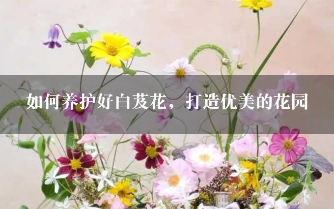 如何养护好白芨花，打造优美的花园