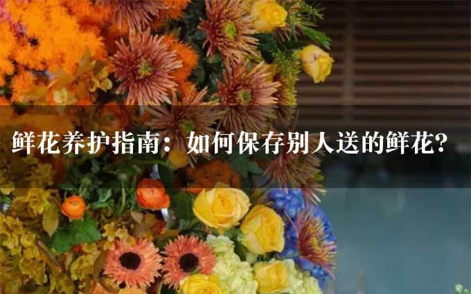 鲜花养护指南：如何保存别人送的鲜花？