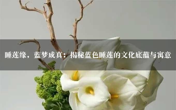 睡莲缘，蓝梦成真：揭秘蓝色睡莲的文化底蕴与寓意